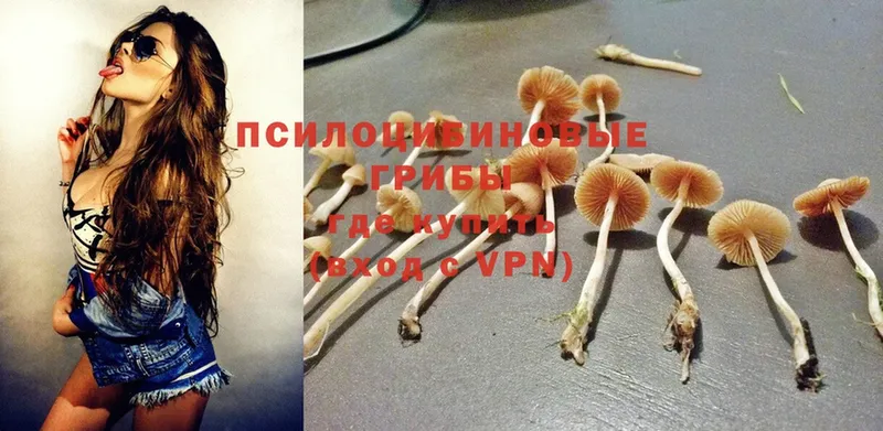 Псилоцибиновые грибы Magic Shrooms Заводоуковск